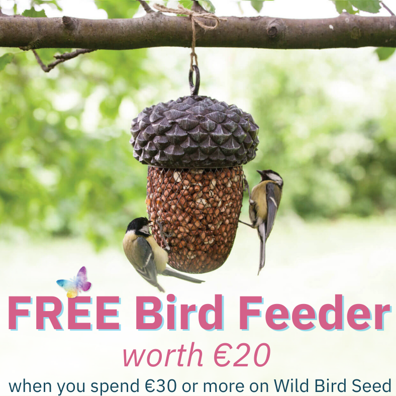 FREE acorn design feeder when you spend €35 on bird seed - * add feeder to cart & use code SUMMER
