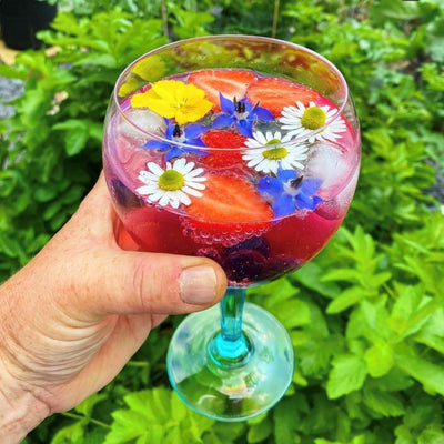 Edible Flowers