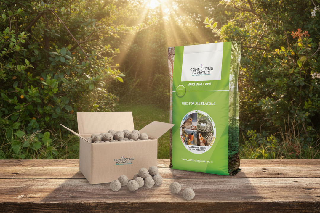 Garden Bird eating wild bird seed from bird seed feeder