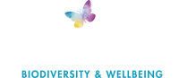 Connecting to Nature