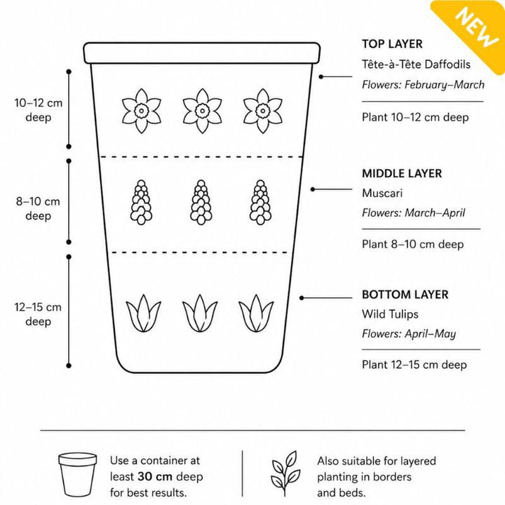 Allied Irish Bulbs Bulbs 50 Layered Spring Bulb Collection