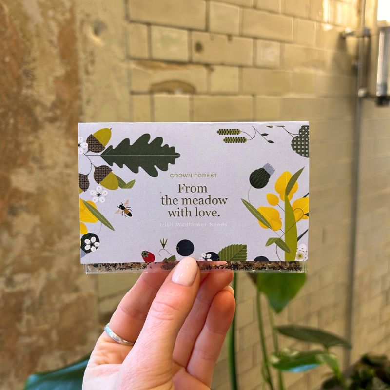 wildflower seeds gift Custom Branded Wildflower Seed Packets