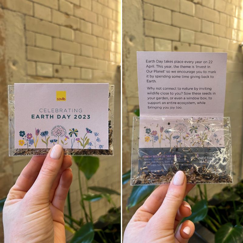 wildflower seeds gift Sustainable Gifts for Businesses