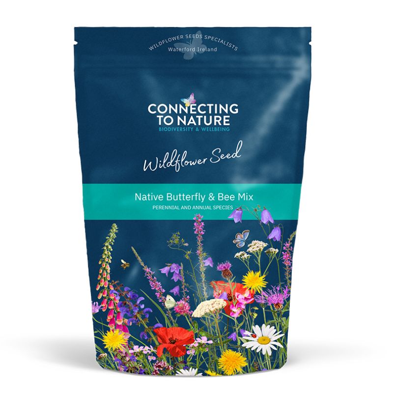 Blooming Native Wildflower Seed Butterfly and Bee Native Wildflower Seed Mix