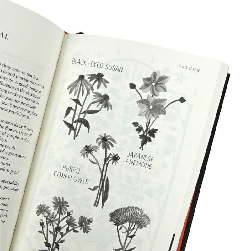 Connecting to Nature Books The Almanac | A Seasonal Guide To 2024