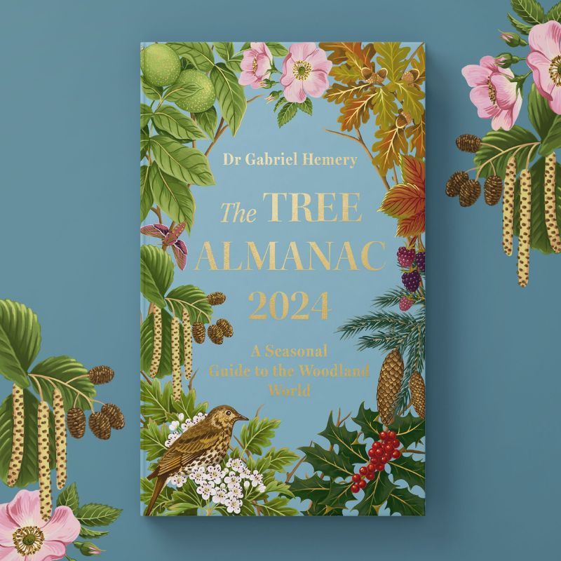Connecting to Nature Books The Tree Almanac 2024