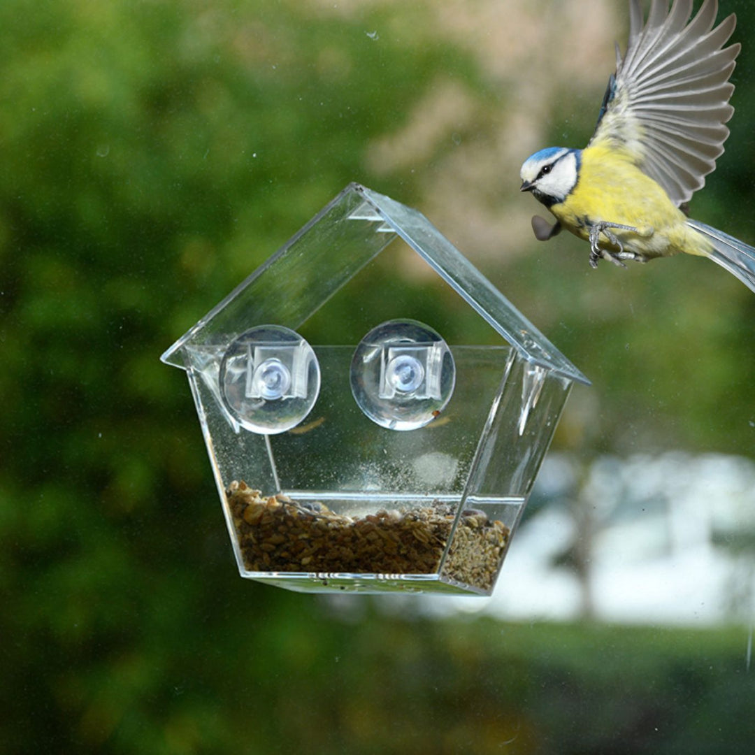 Connecting to Nature Garden Accessory Window Bird Feeder House