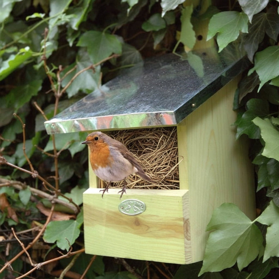 Connecting to Nature Garden Accessory Wooden Nest Box | Robin