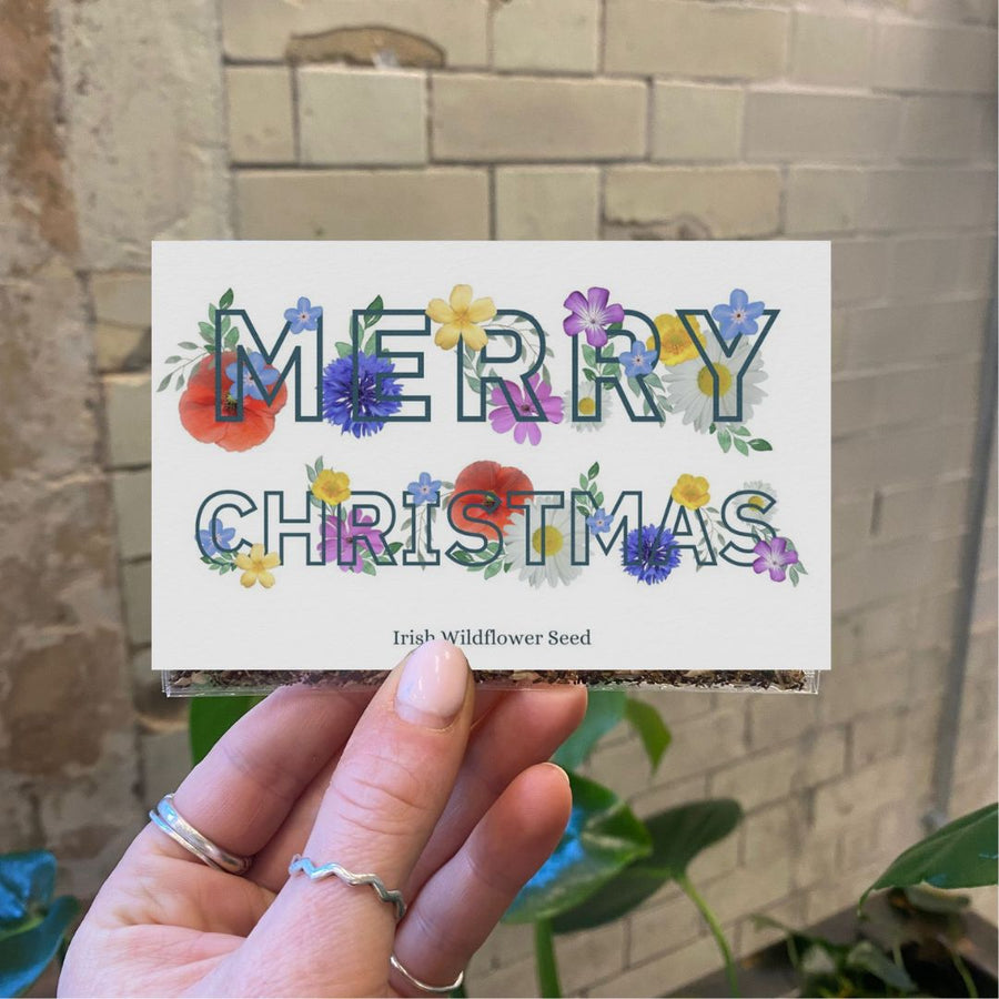 Connecting to Nature Gift Pockets Merry Christmas | Irish Wildflower Seed Card