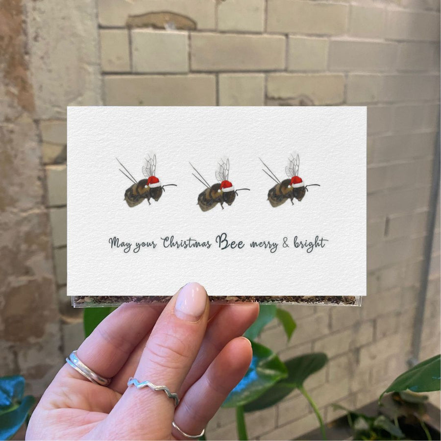 Connecting to Nature Gift Pockets Native Wildflower Seed Pocket | May your Christmas BEE Merry & Bright