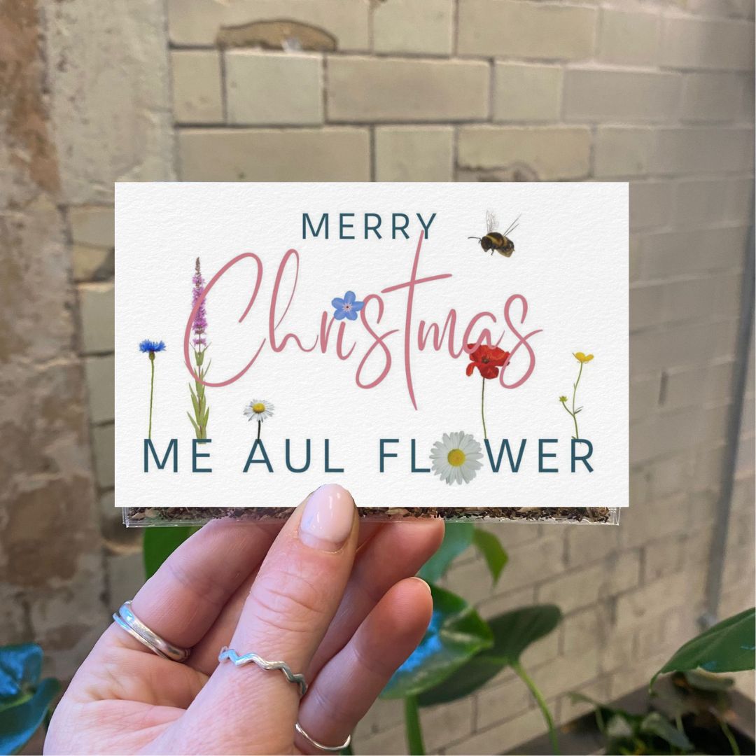 Connecting to Nature Gift Pockets Native Wildflower Seed Pocket | Merry Christmas Me Aul Flower