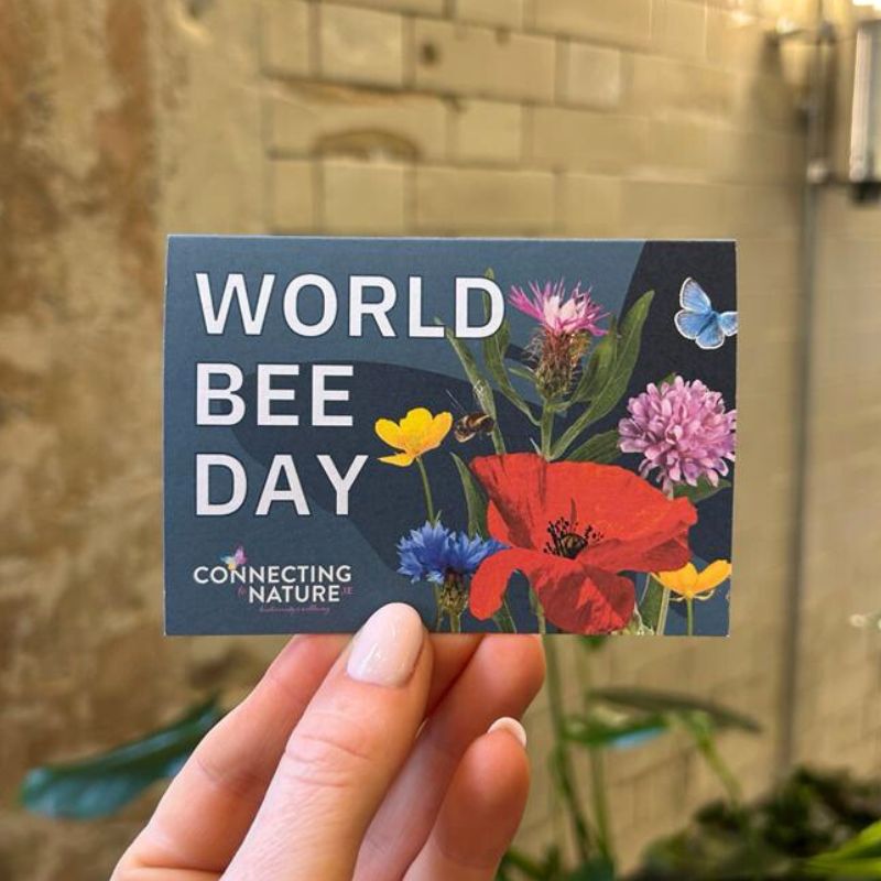 Connecting to Nature Gift Pockets World Bee Day Seed Pockets | Custom Design | Bulk Buy