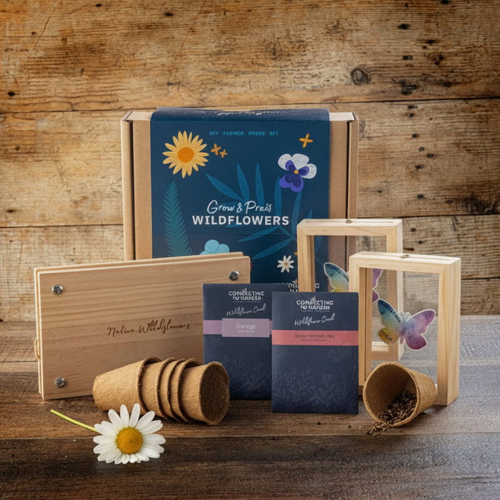 Connecting to Nature Gift Set Grow and Press Wildflowers Gift Box