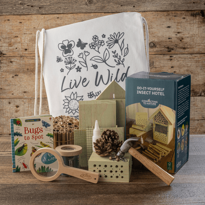 Connecting to Nature Gift Set Mini-Beast Discovery Kit (Ages 6+)