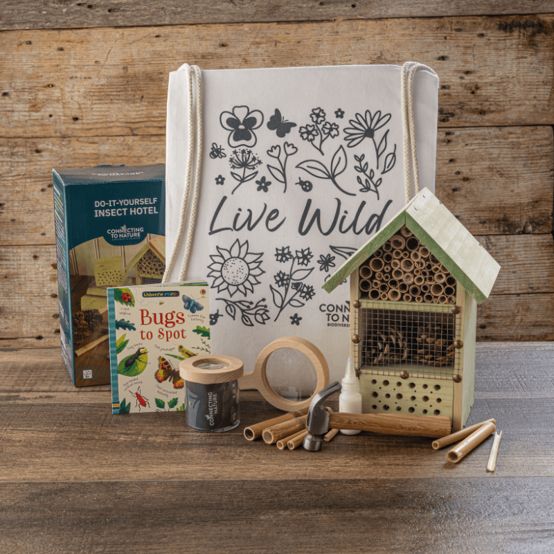 Connecting to Nature Gift Set Mini-Beast Discovery Kit (Ages 6+)
