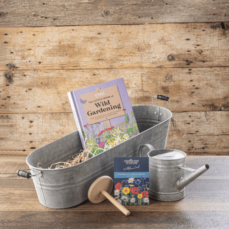 Connecting to Nature Gift Set Mini Meadow Kit