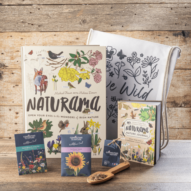 Connecting to Nature Gift Set The Wild Explorer Box (Ages 6+)