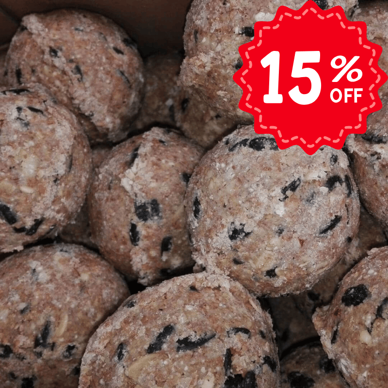 Connecting to Nature Wild Bird Seed Fat Balls | without nets