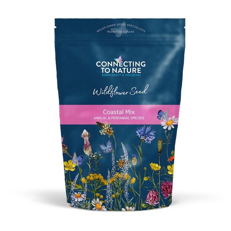 Connecting to Nature Wildflower Seed Coastal Wildflower Mix