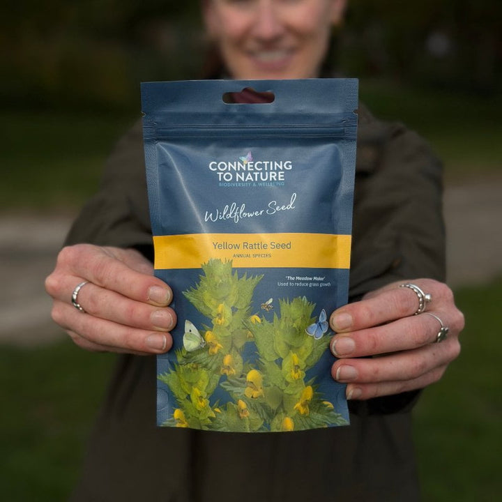 Connecting to Nature Wildflower Seed Fresh Irish Yellow Rattle | Native Wildflower Seed