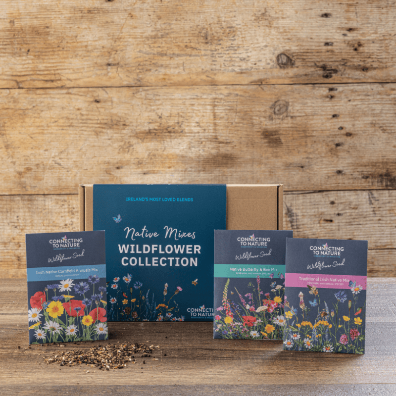 Connecting to Nature Wildflower Seed The Wildflower Collection