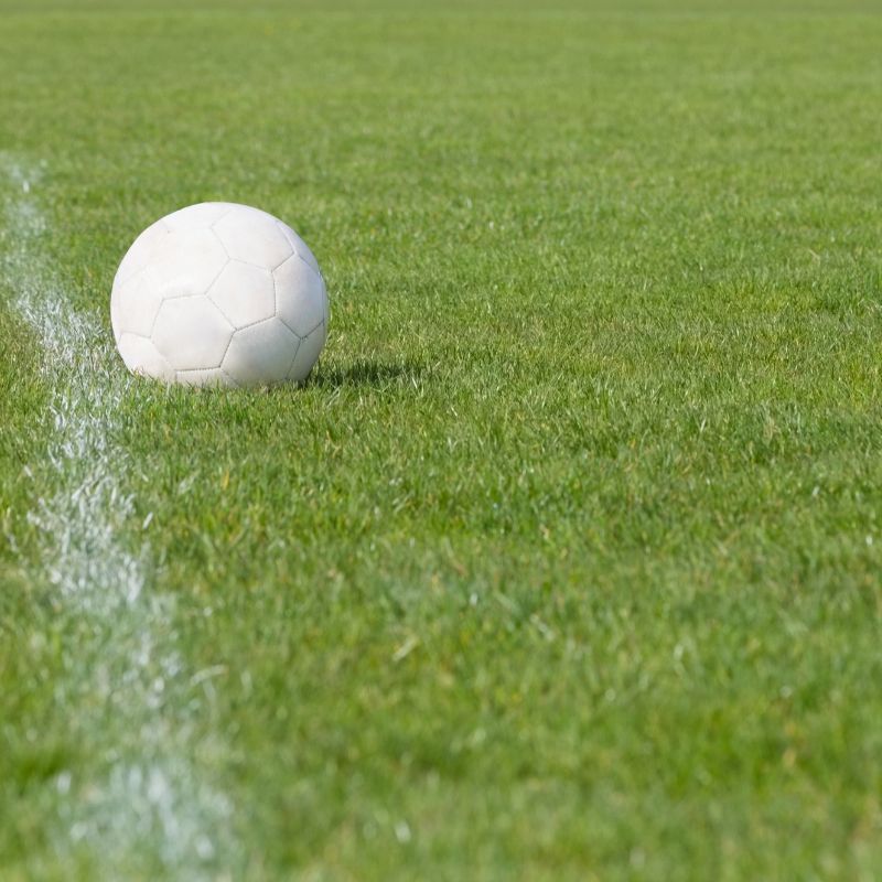 DLF Grass Seed 1kg Turfline Sport Lawn Seed | Grass