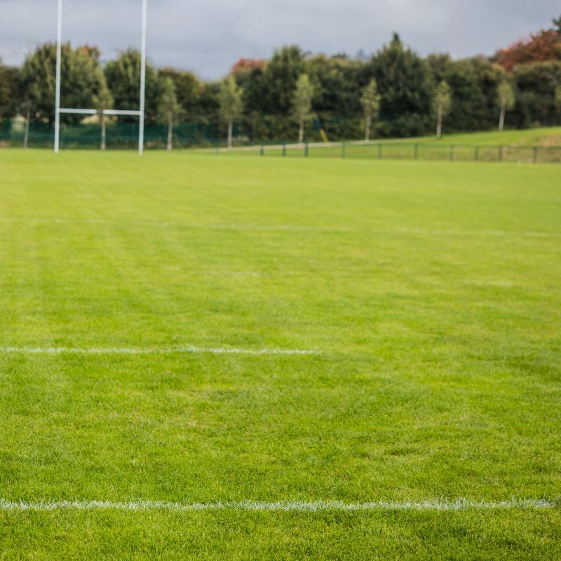 DLF Grass Seed 1kg Turfline Sport Lawn Seed | Grass