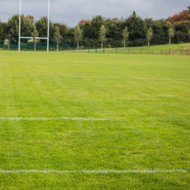 DLF Grass Seed 1kg Turfline Sport Lawn Seed | Grass