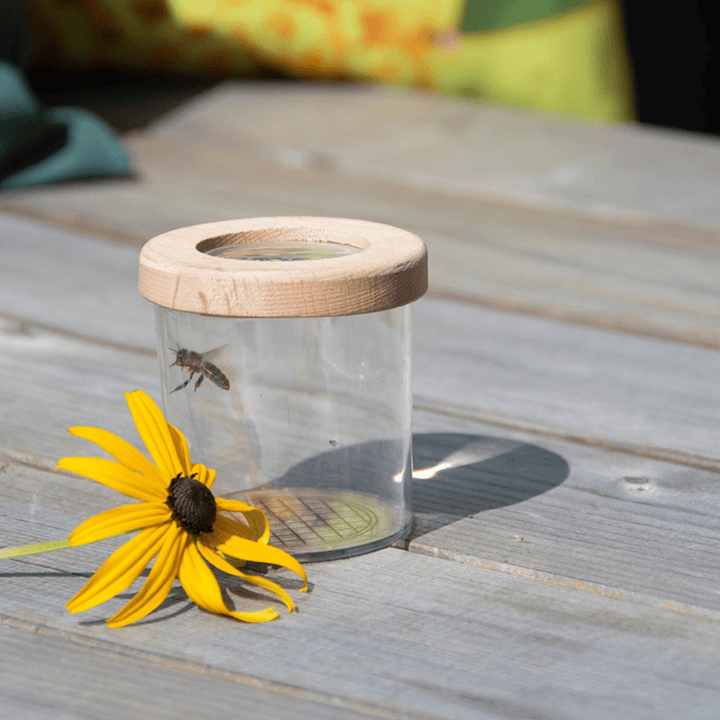 Eschert Garden Accessory Childrens Study Box | Wooden