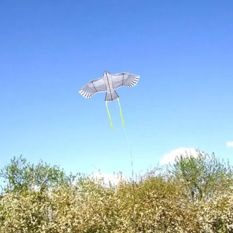 Eschert Garden Accessory Flying Hawk Kite for Bird Control & Seed Protection
