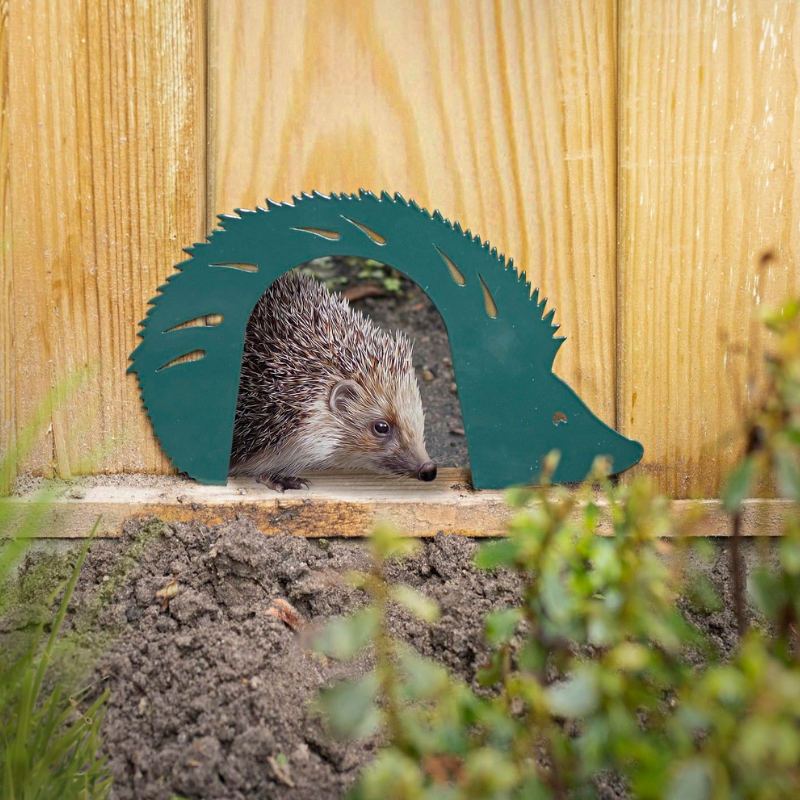 Eschert Garden Accessory Hedgehog Gate