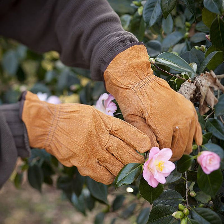 Eschert Garden Accessory Leather gardening gloves