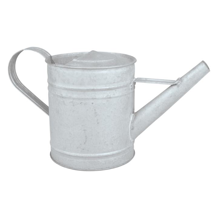 Eschert Garden Accessory Watering Can | Zinc