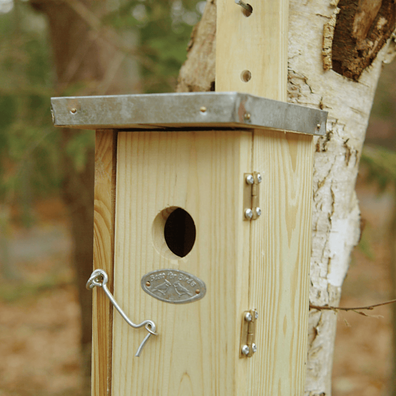 Eschert Garden Accessory Wooden Nest Box | Wren