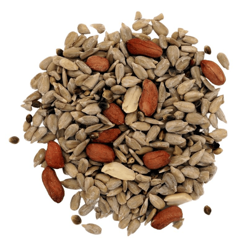 Eschert Wild Bird Seed Seeds & Nuts Wild Bird Seed Mix (Fruit Free)