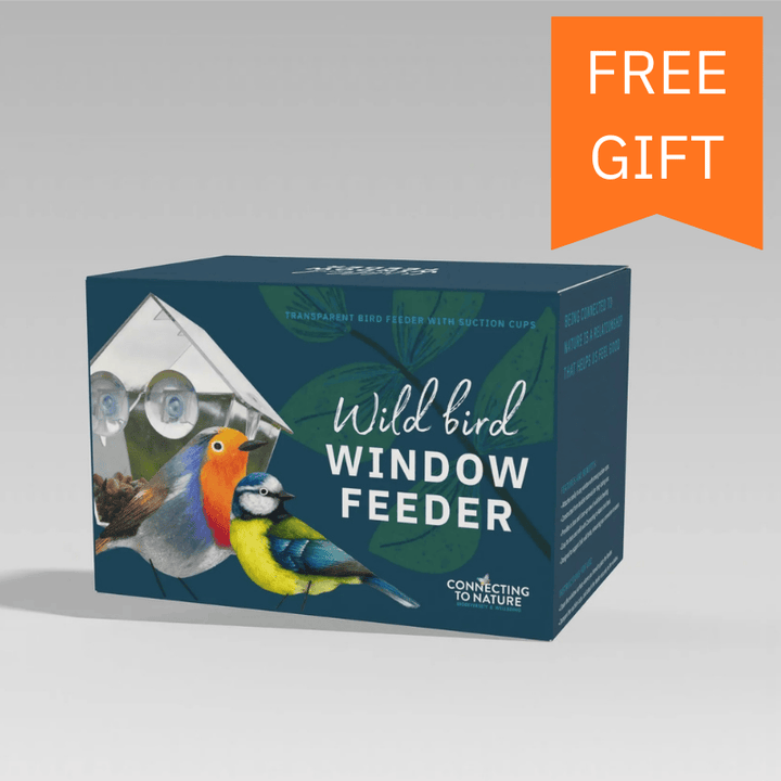 Esschert Wild Bird Seed Bird Food Subscription | Seasonal Seed, Fat Balls & Free Welcome Gift
