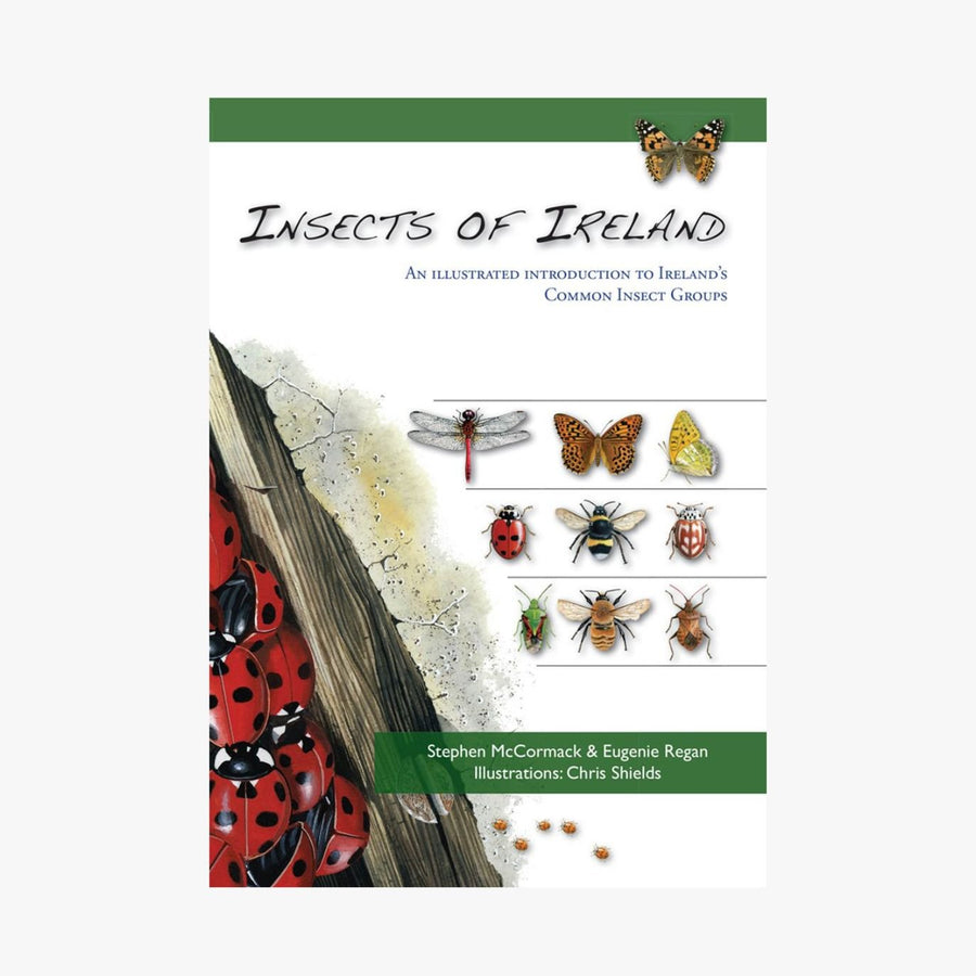 Gill Books Insects of Ireland by Stephen McCormack and Eugenie Regan