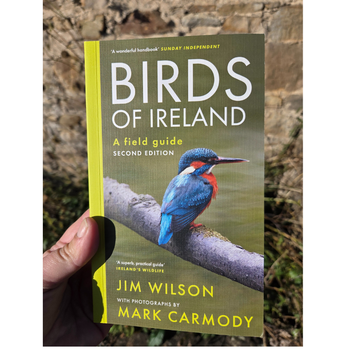 Gill Books The Birds of Ireland | A field guide