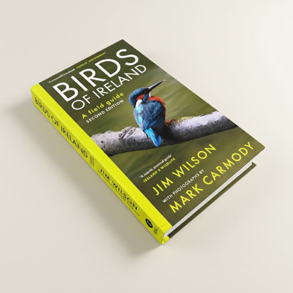The Birds of Ireland | A field guide – Connecting to Nature