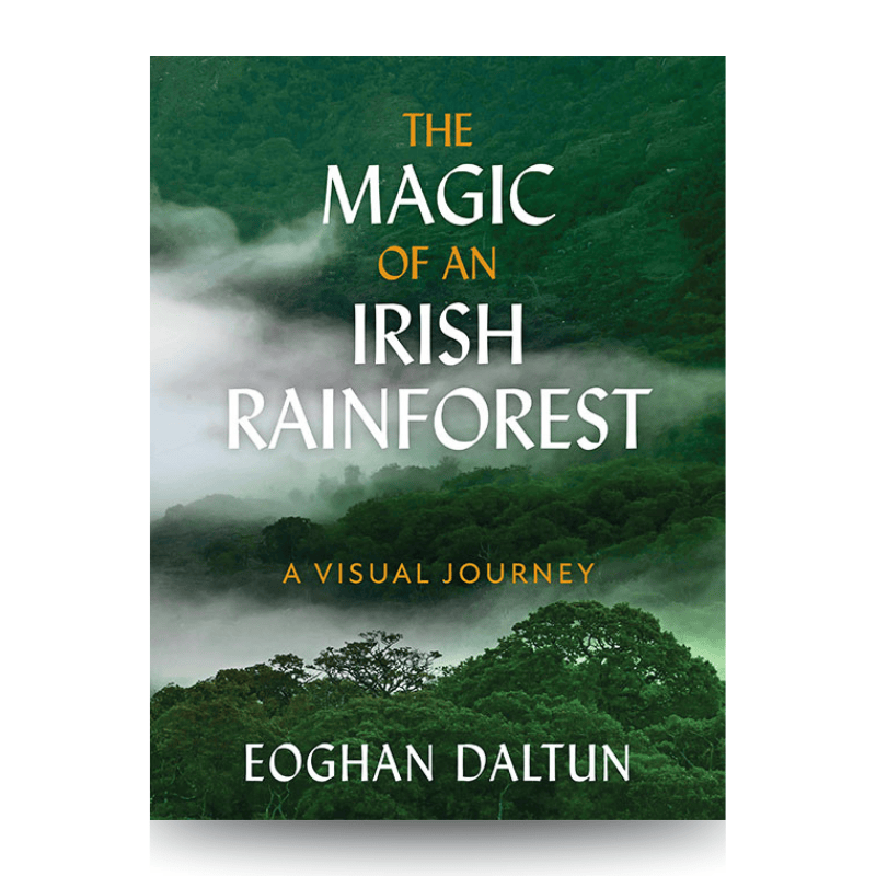 Gill Books The Magic of an Irish Rainforest | Eoghan Daltun