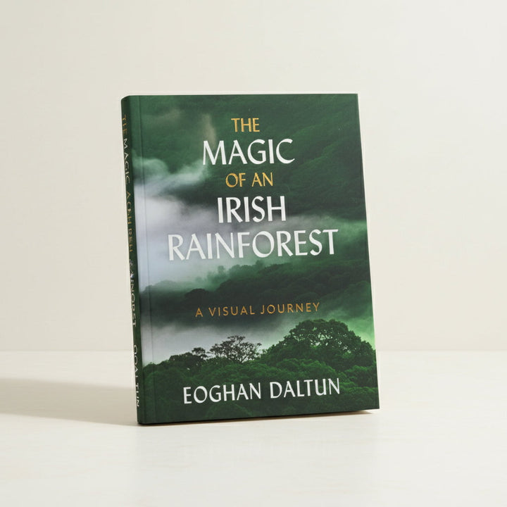 Gill Books The Magic of an Irish Rainforest | Eoghan Daltun