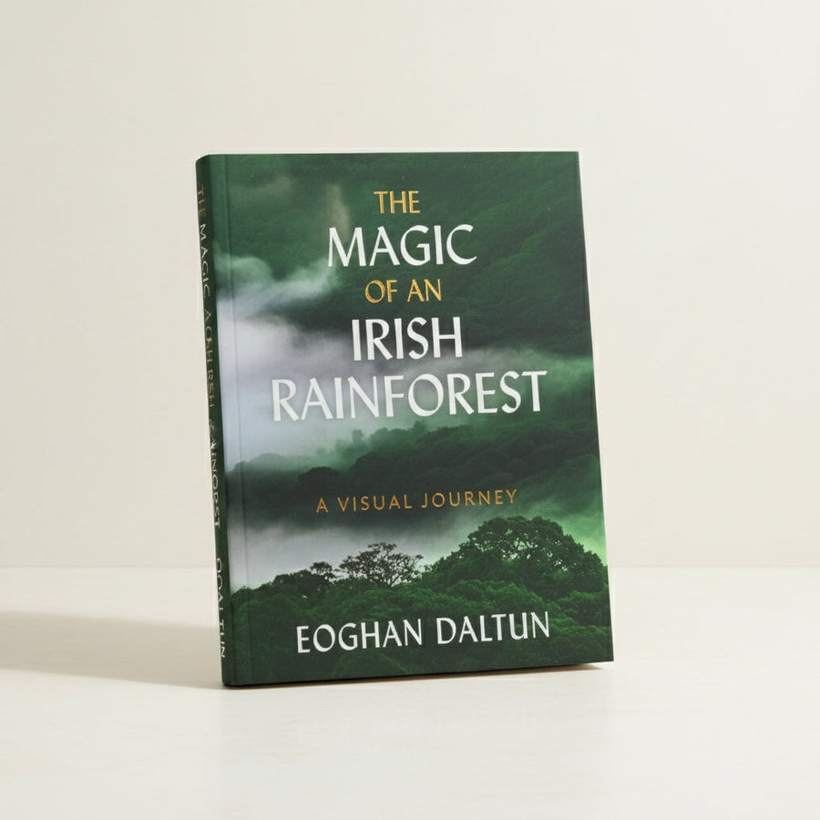 Gill Books The Magic of an Irish Rainforest | Eoghan Daltun