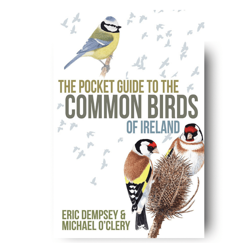 Gill Books The Pocket Guide to the Common Birds of Ireland