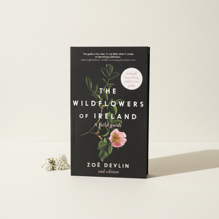 Gill Books The Wildflowers of Ireland | Zoe Devlin