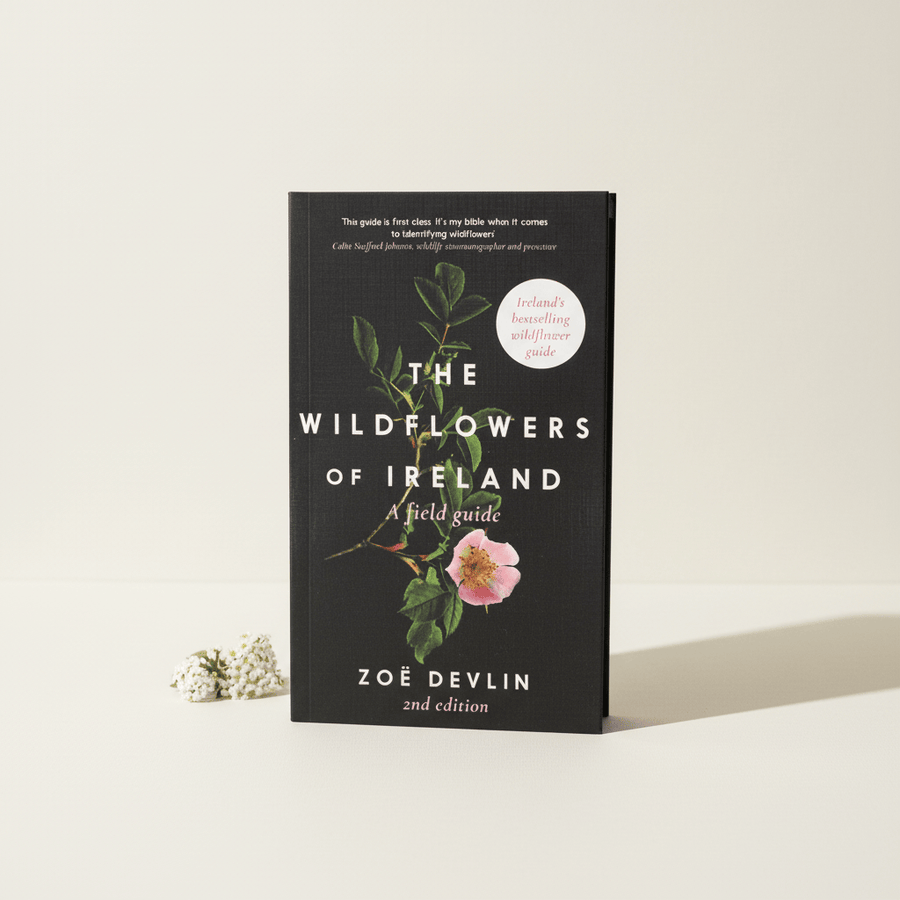 Gill Books The Wildflowers of Ireland | Zoe Devlin