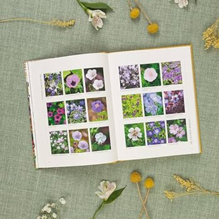 Hachette Books A Flower Garden for Pollinators by Rachel de Thame