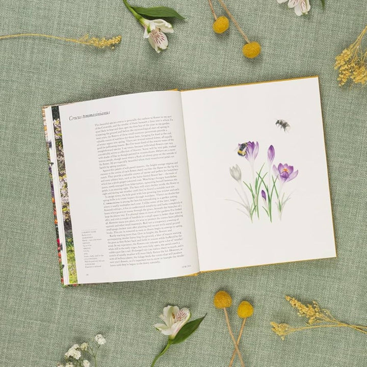 Hachette Books A Flower Garden for Pollinators by Rachel de Thame