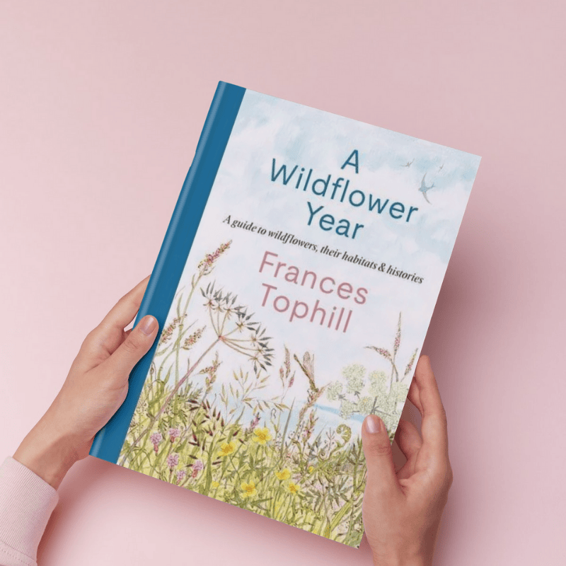 Hachette Books A Wildflower Year | A Guide to Wildflowers, their Habitats & Histories | Frances Tophill