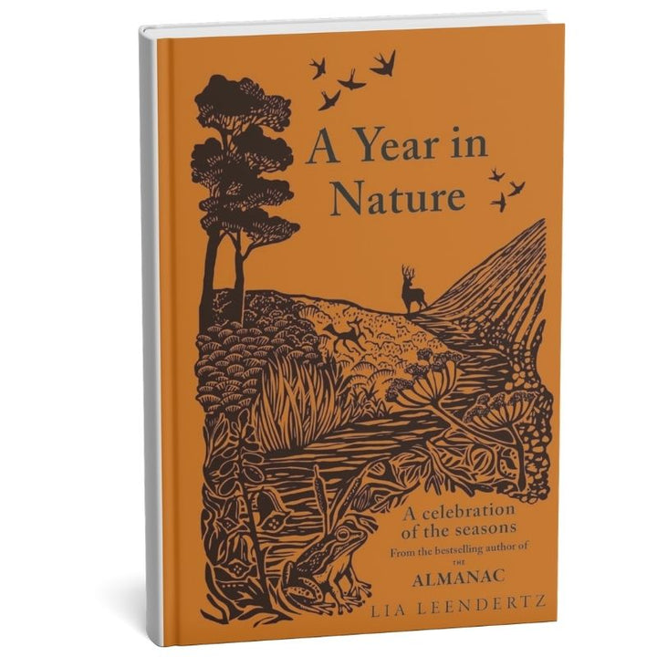Hachette Books A Year in Nature | A Celebration of the Seasons | Lia Leendertz