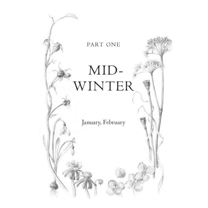 Hachette Books Evergreen | Discover the Joy in every Season | Lydia Millen